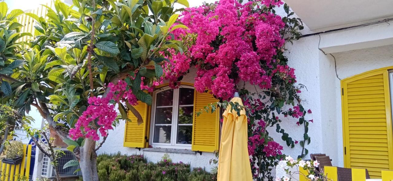 Le Boucanier Tavira Exterior photo